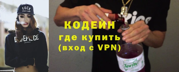 индика Семилуки