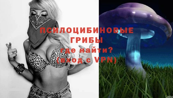 ешки Арсеньев