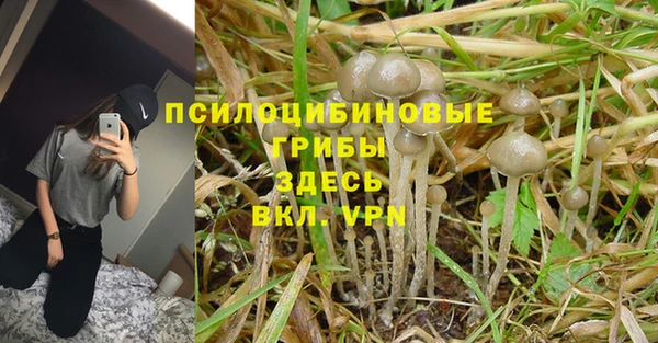 гидра Балабаново