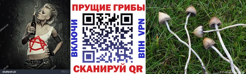 Псилоцибиновые грибы MAGIC MUSHROOMS  сайты даркнета телеграм  Лабытнанги 